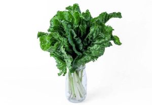 Spinach